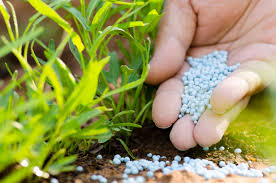 agricultural fertiliser companies