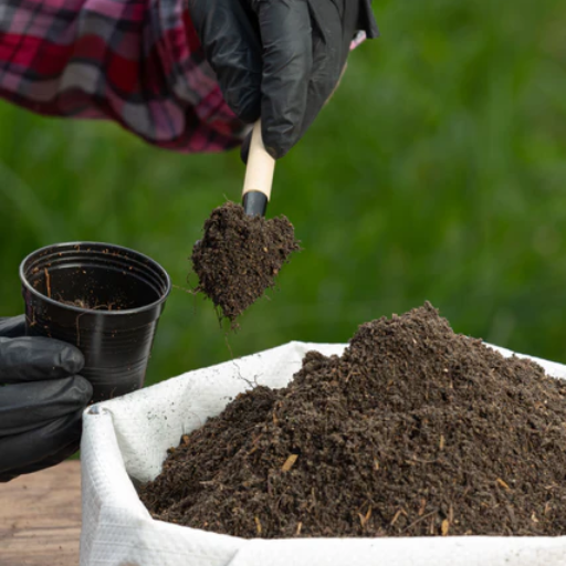 best organic fertilizer