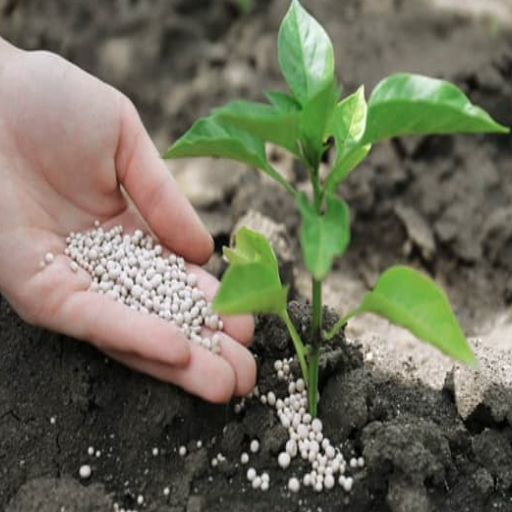 disadvantages of urea fertilizer