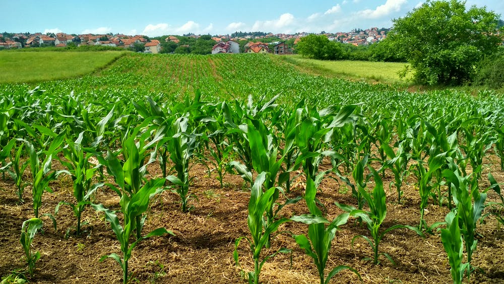 largest fertilizer companies in the world