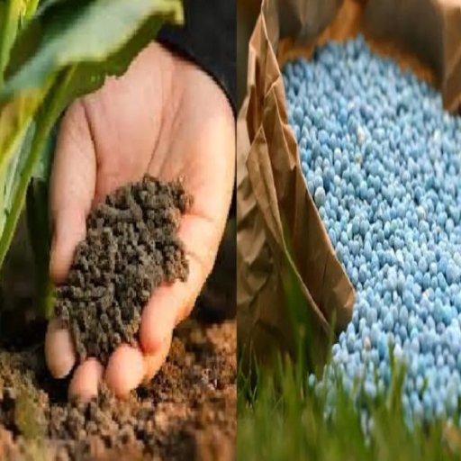 organic fertilizer vs chemical fertilizer