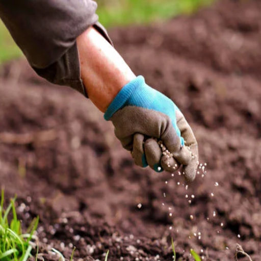 organic fertilizer vs chemical fertilizer