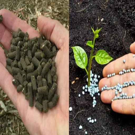 organic fertilizer vs chemical fertilizer