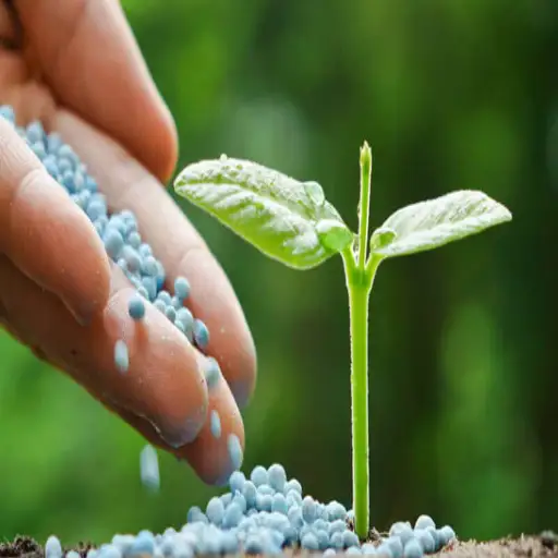 urea fertilizer