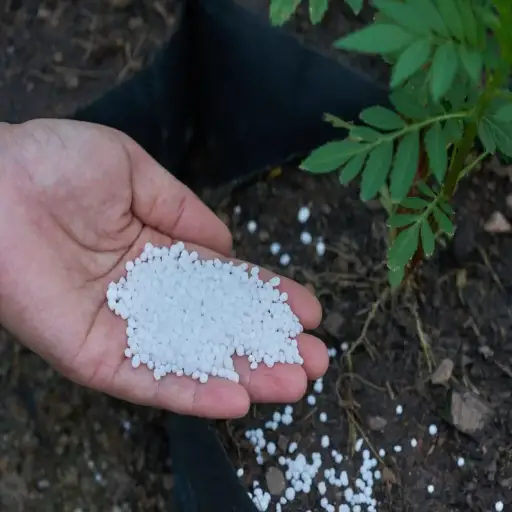 urea fertilizer