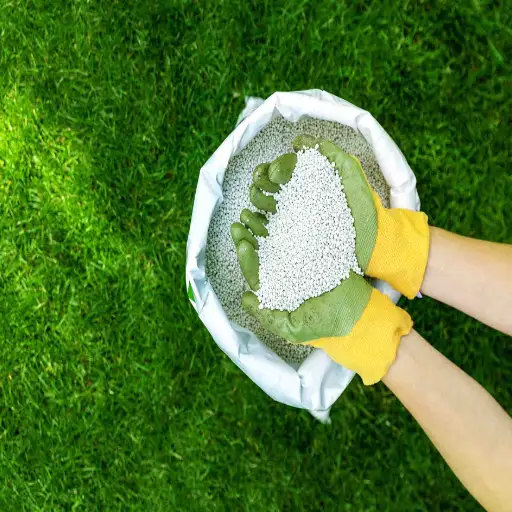 Urea Lawn Fertilizer: The Essential Guide to Fertilizer for a Healthy Lawn