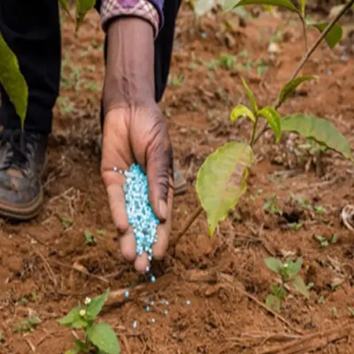 use urea fertilizer