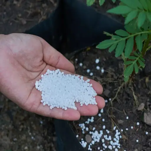 Urea: Nitrogen Fertilizer Use for Healthy Plant Growth