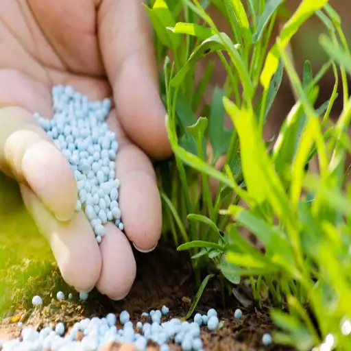 use urea fertilizer