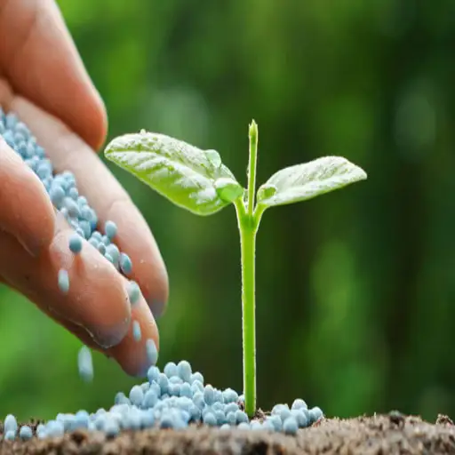 use urea fertilizer