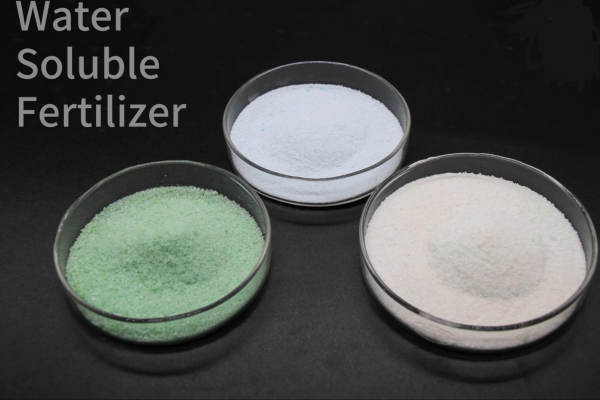 organic water soluble fertilizer