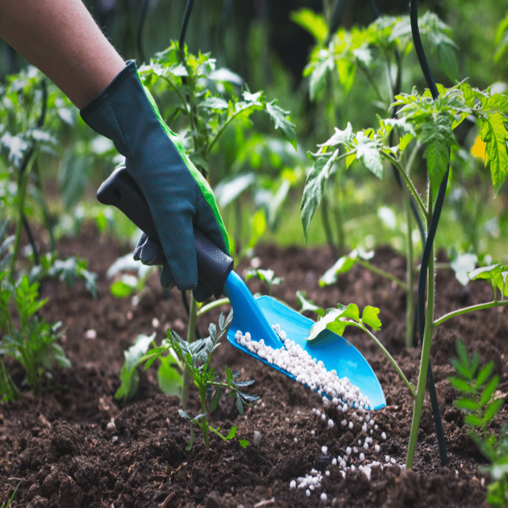 How Organic Soluble Fertilizers Enhance Nutrient Availability