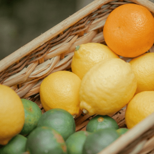 How to Select the Right Organic Liquid Citrus Fertilizer