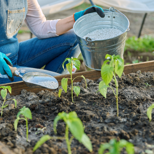 what is calcium nitrate fertilizer used for