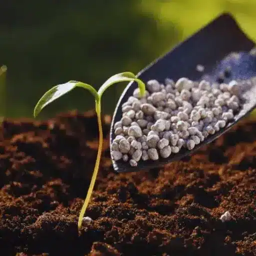 calcium nitrate fertilizer organic