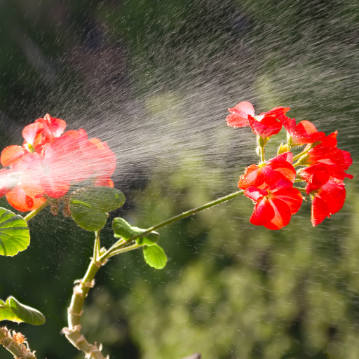 how to mix epsom salt for plants