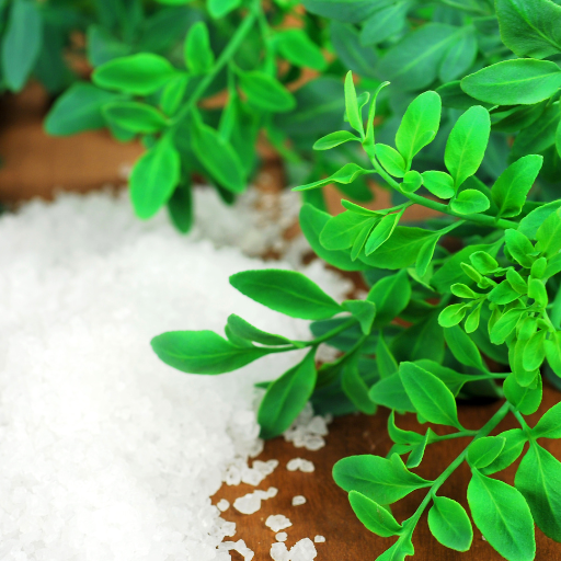 how to use epsom salt on plants