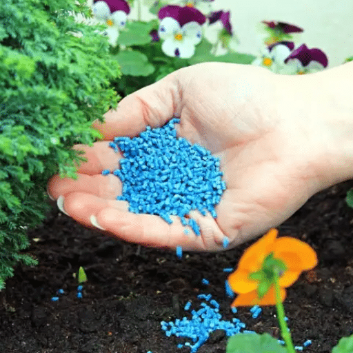 organic 5-10-10 fertilizer