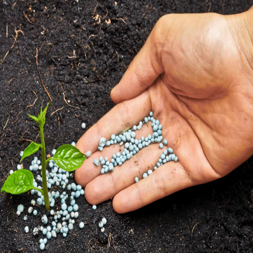 organic 5-10-10 fertilizer