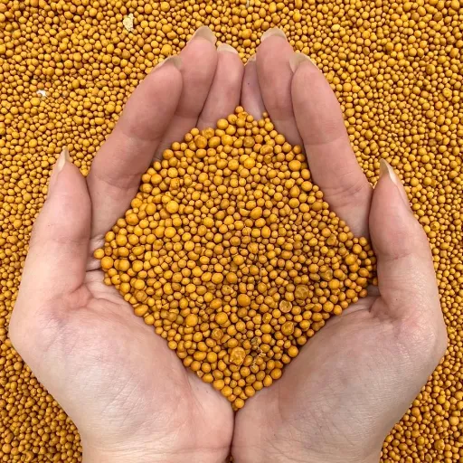 osmocote fertilizer organic