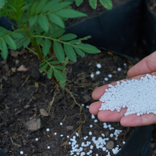 urea fertilizer in agriculture