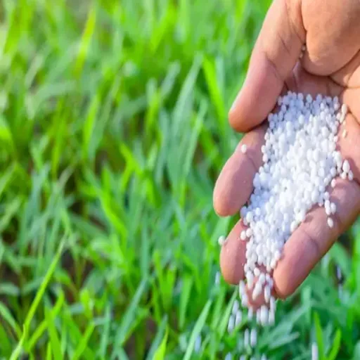 Urea Fertilizer: A Powerful Solution for Lawn Care