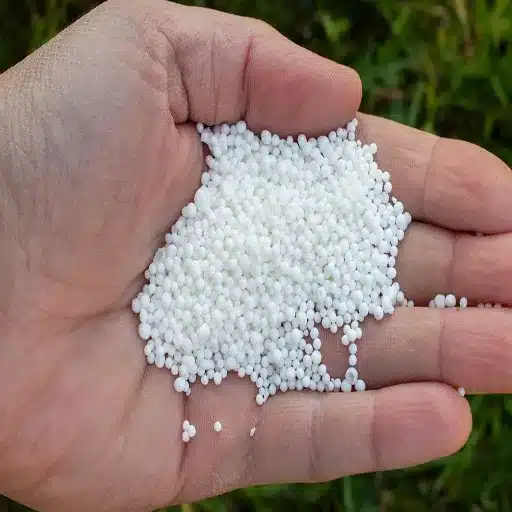 when to use calcium nitrate fertilizer