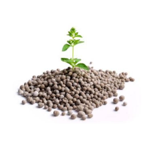 How to Apply Organic Granular Fertilizer?