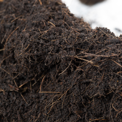 Organic Fertilizer