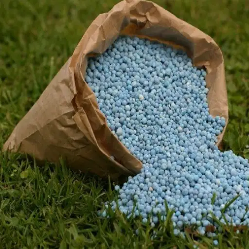 best organic fertilizer for corn