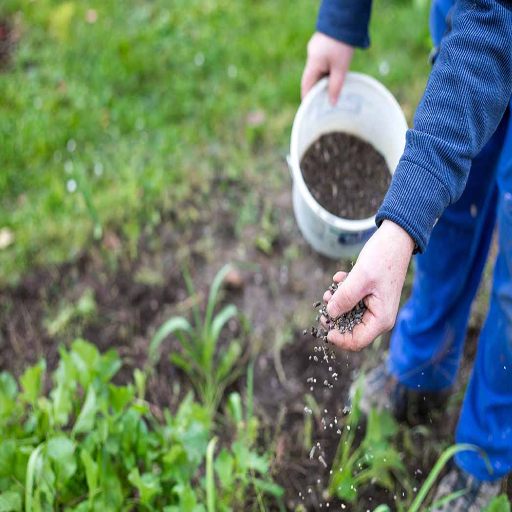 best vegetable fertilizer