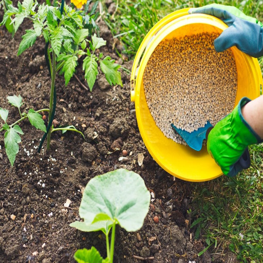 Best Vegetable Fertilizer for Your Home Garden: A Comprehensive Guide