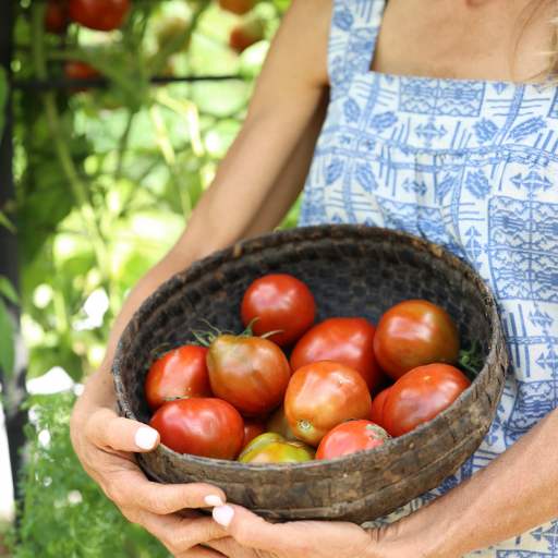 Can You Make Homemade Tomato Fertilizer?