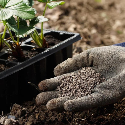 Comparing Organic and Synthetic Fertilizers