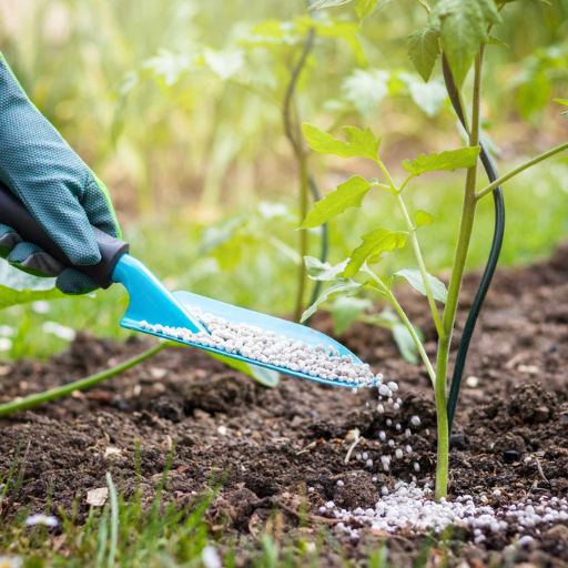 What Are the Drawbacks of High Phosphorus Fertilizers?