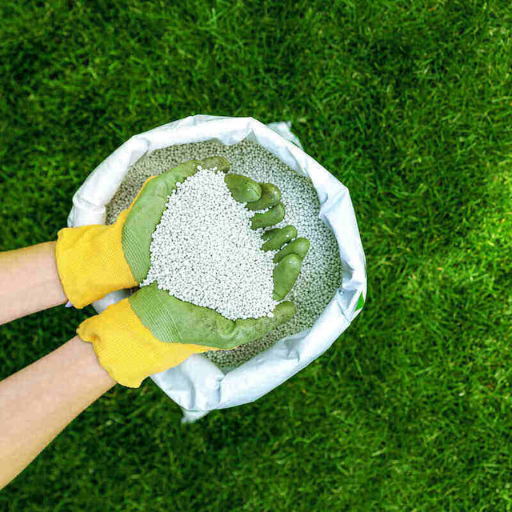 What is Organic Lawn Starter Fertilizer?