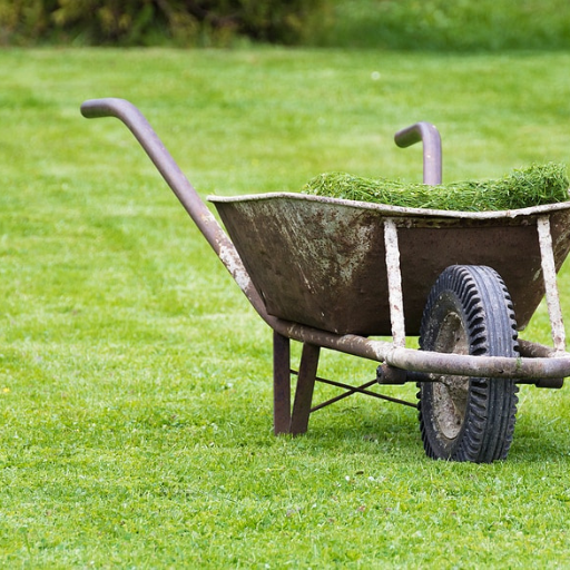 What Are Common Issues and Solutions with Organic Lawn Fertilizers?