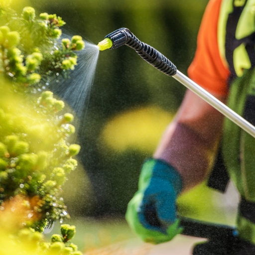 use of epsom salt in plants