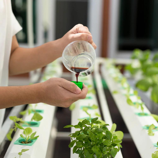 What Are the Challenges of Using Organic Hydroponic Nutrients?