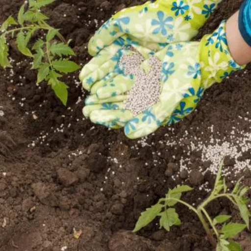 What is Low Nitrogen Organic Fertilizer?