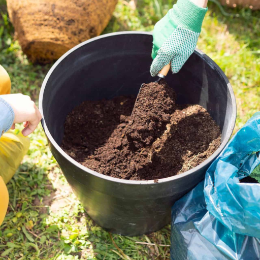 What are the Best Practices for Plant and Soil Preparation?