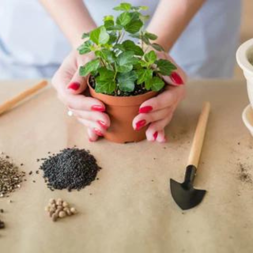 What Are Common Problems When Using Organic Fertilizers for Houseplants?