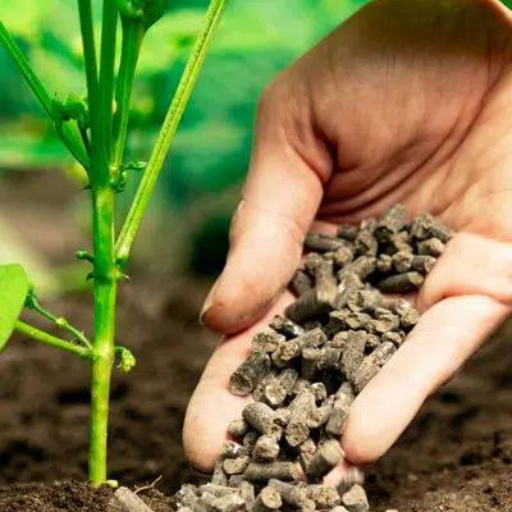 What is Organic Fertilizer and How Does It Work?