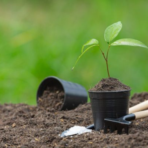 pros and cons of organic fertilizer