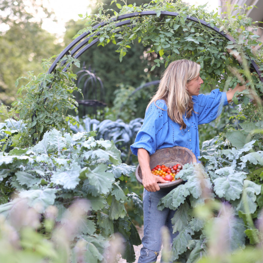 What is the Best Tomato Fertilizer You Can Use?