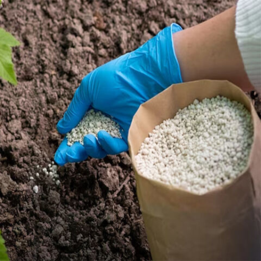 Why Choose 20-20-20 Organic Fertilizer?