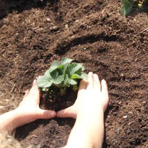 Can Organic Fertilizer Be Used for All Garden Plants?