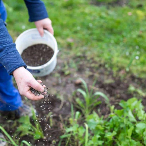 What are the Best Organic Nitrogen Fertilizers for Vegetables?