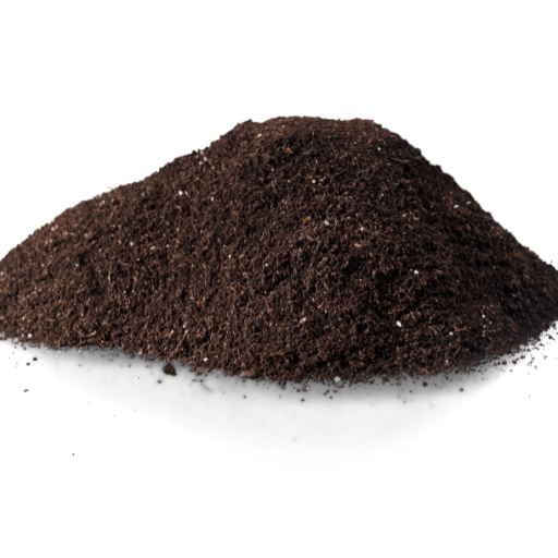 humus soil