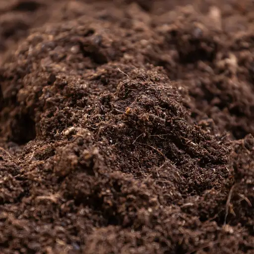 humus soil